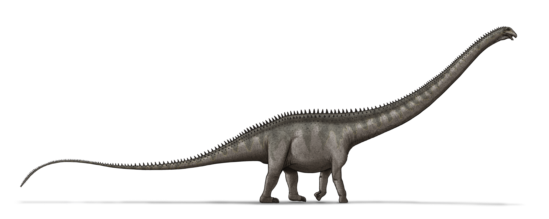 Loài khủng long dài nhất